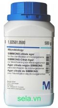 SIMMONS citrate agar for the identification of microorganisms
