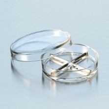 Đĩa petri có khung kim loại 